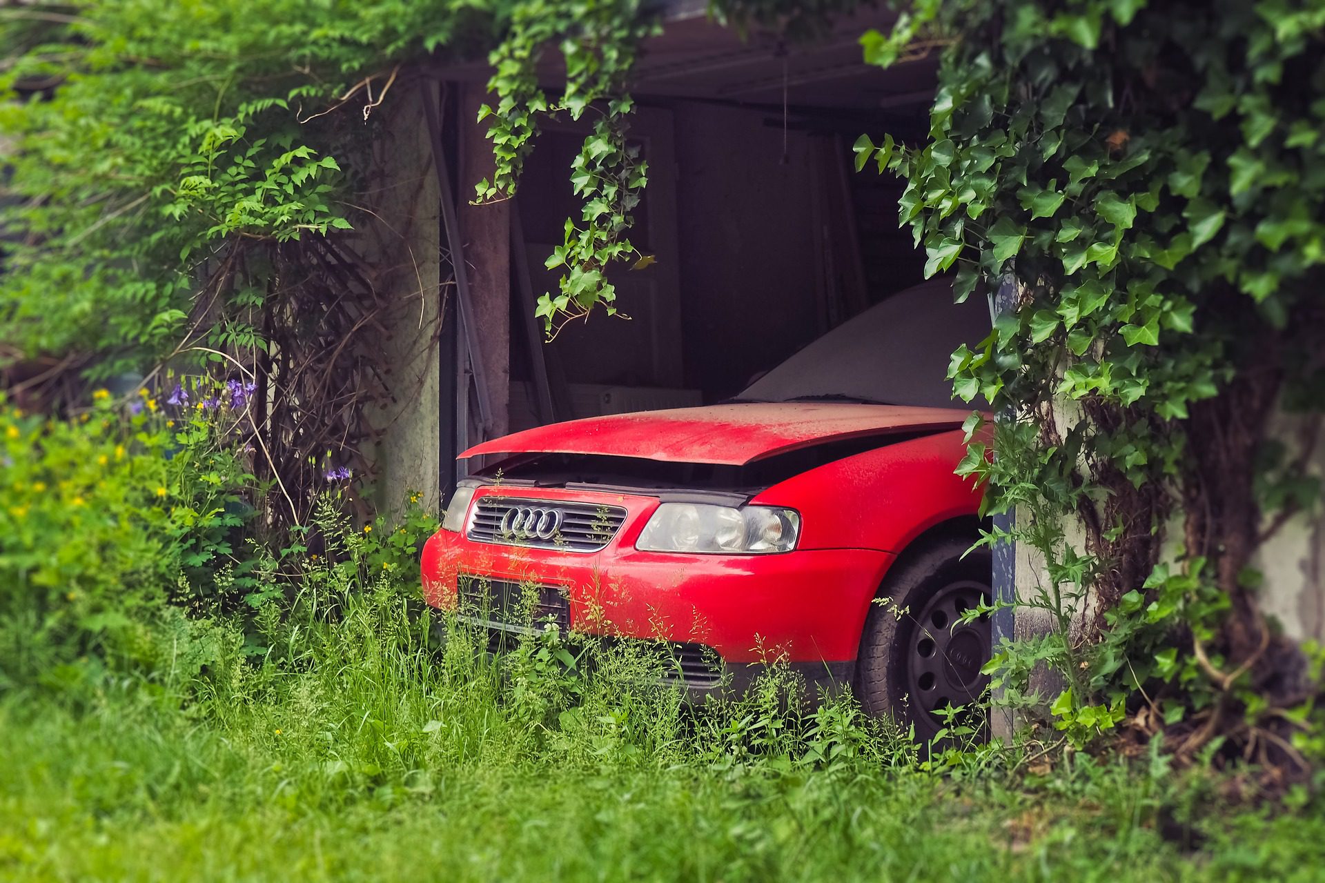 Abandoned red Audi car contributing to unfolding environmental disaster