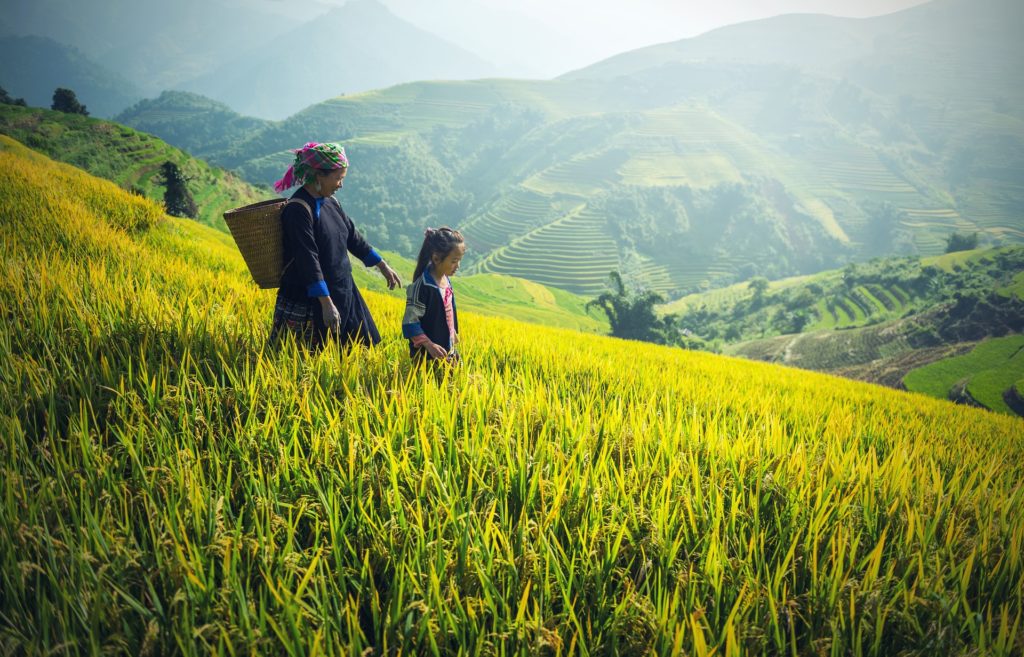 Woman and child high on a hill of long green grass